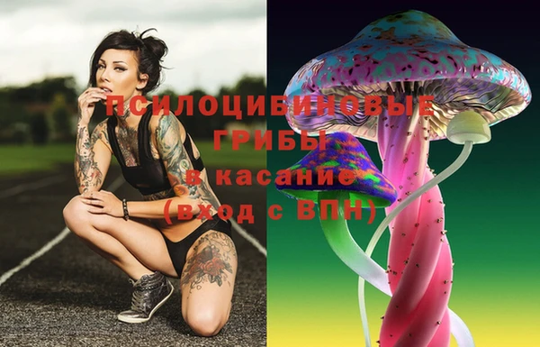 эйфоретик Вязьма