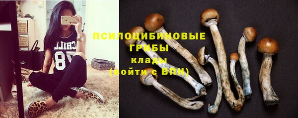 эйфоретик Вязьма
