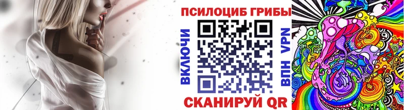 Галлюциногенные грибы Psilocybe  Жирновск 